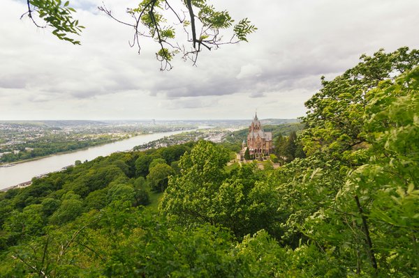 La légende de la supercar bmw m1 : un voyage fascinant